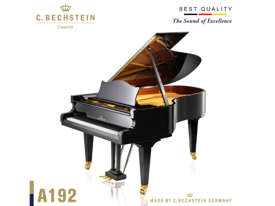 C.Bechstein  Concert A192 (Black with Brass)